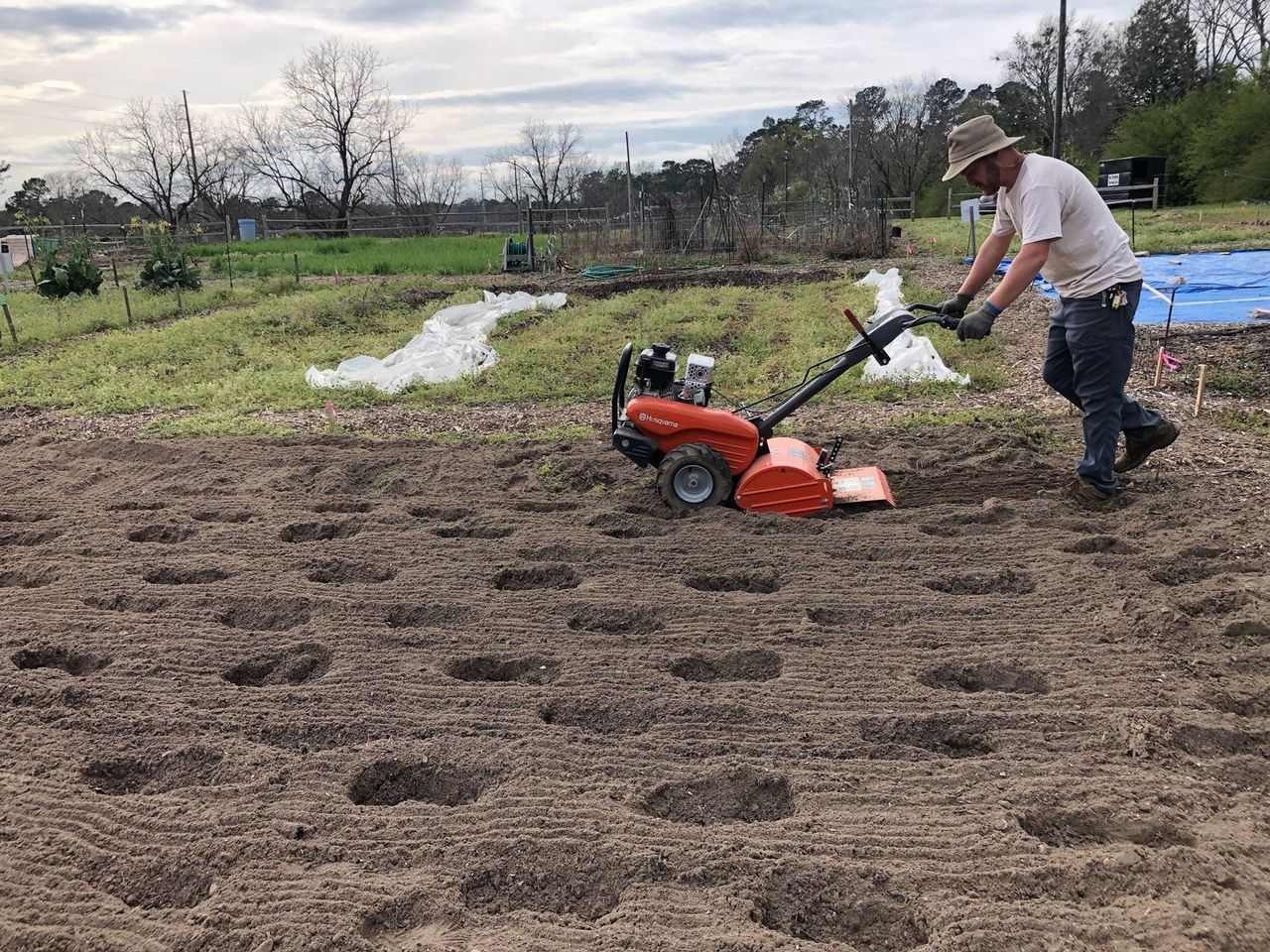The rear tine tiller in action.