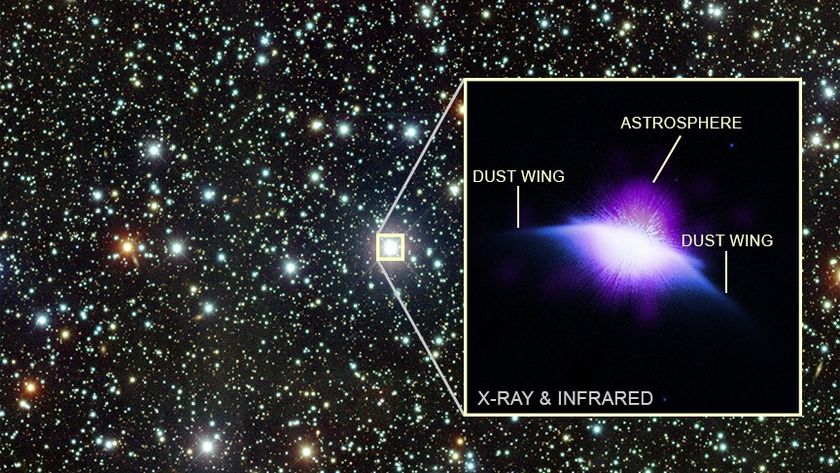 A starry section of space. One star is enlarged in a boxout that shows a purple disk-shape resembling a moth's winds. 