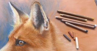 how to draw a fox - image of a fox in pastels