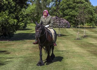 Queen Elizabeth II rides Balmoral Fern, a 14-year-old Fell Pony, in Windsor Home Park over the weekend of May 30 and May 31, 2020 in Windsor, England