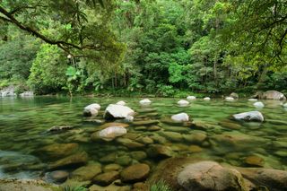 A shallow river lined by rainforest on the banks