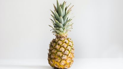 pineapple fruit