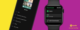 Spotify Watch