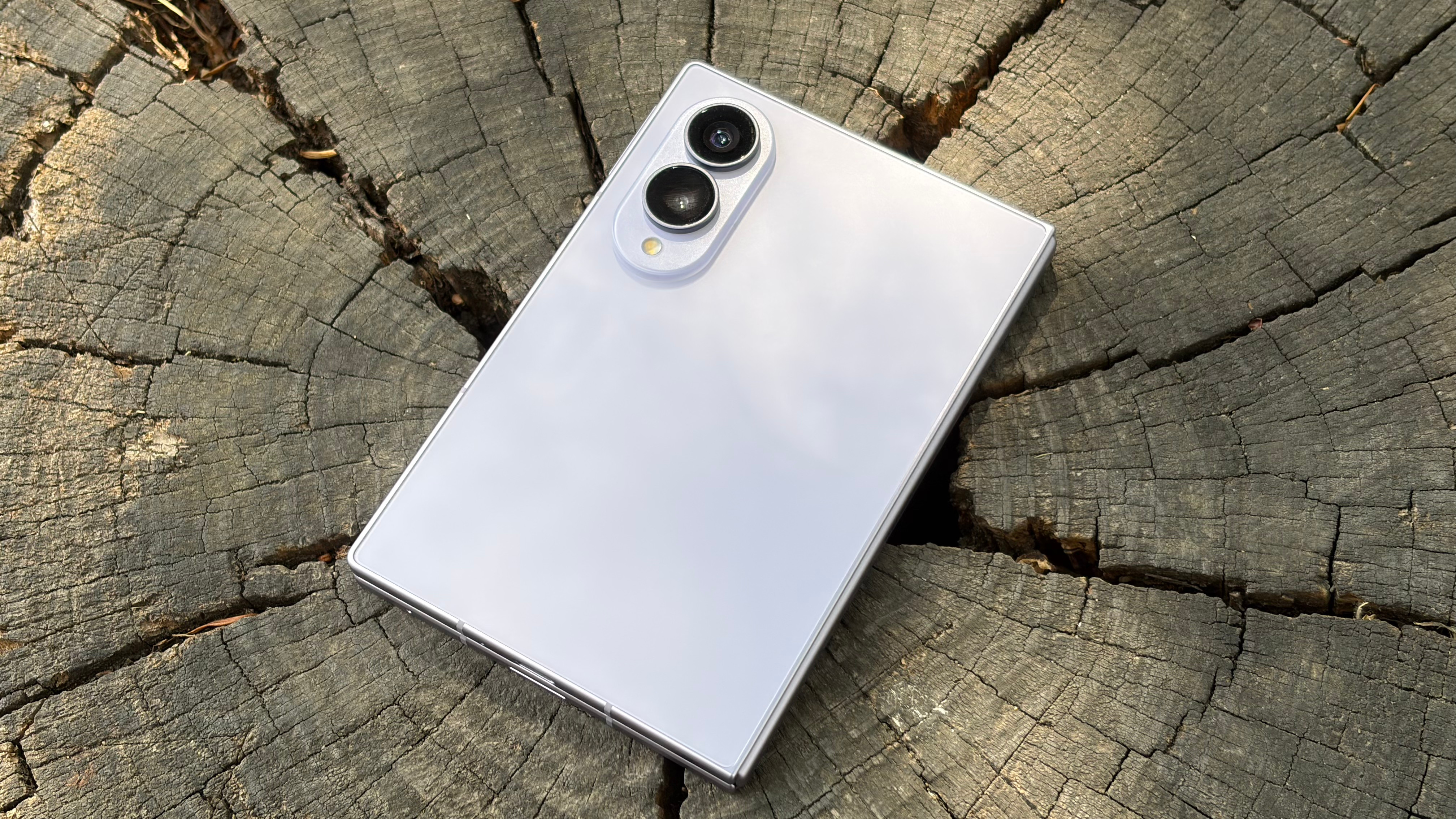 Samsung Galaxy Z Fold 8 back on tree stump