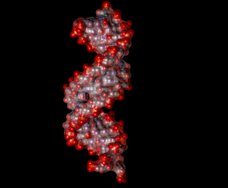 RNA-Molekül