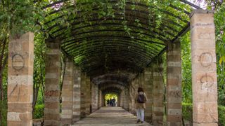 Tree-lined walkways in Athens' national garden