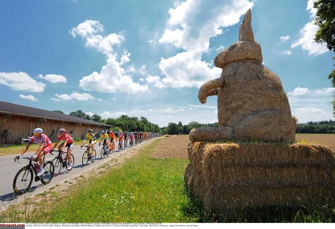 A fat rabbit watches the peloton on stage 5