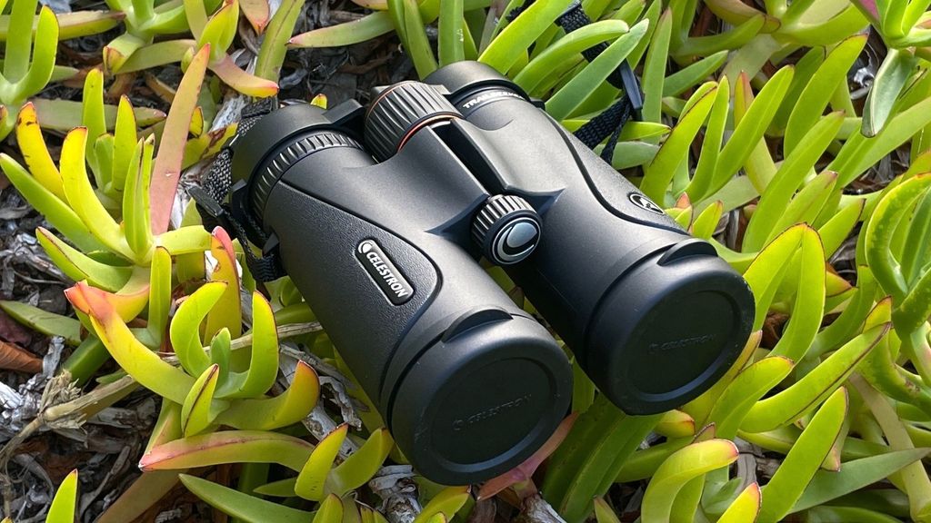 Best binoculars 2024 get a closer look T3