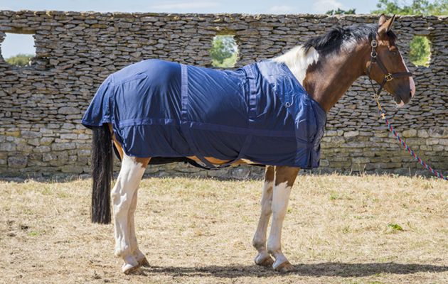Back on Track Mesh Rug review