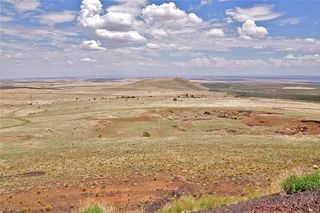 The Springerville Volcanic Field, types of volcanoes