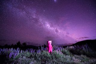 Pink bear with Milky Way in New Zealand