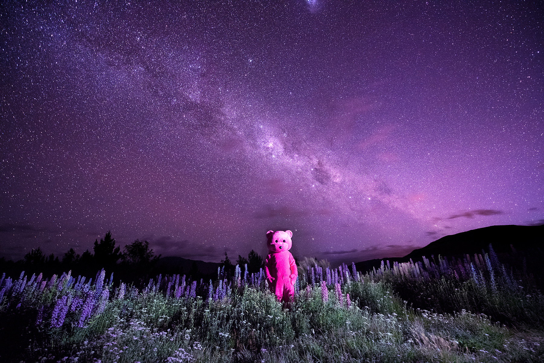 Pink bear with Milky Way in New Zealand