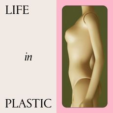 black text that says "life in plastic" next to a barbie doll body on a cream, green, and pink background