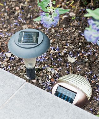 A close-up shot of solar lights slotted into the ground with charging panels at the top