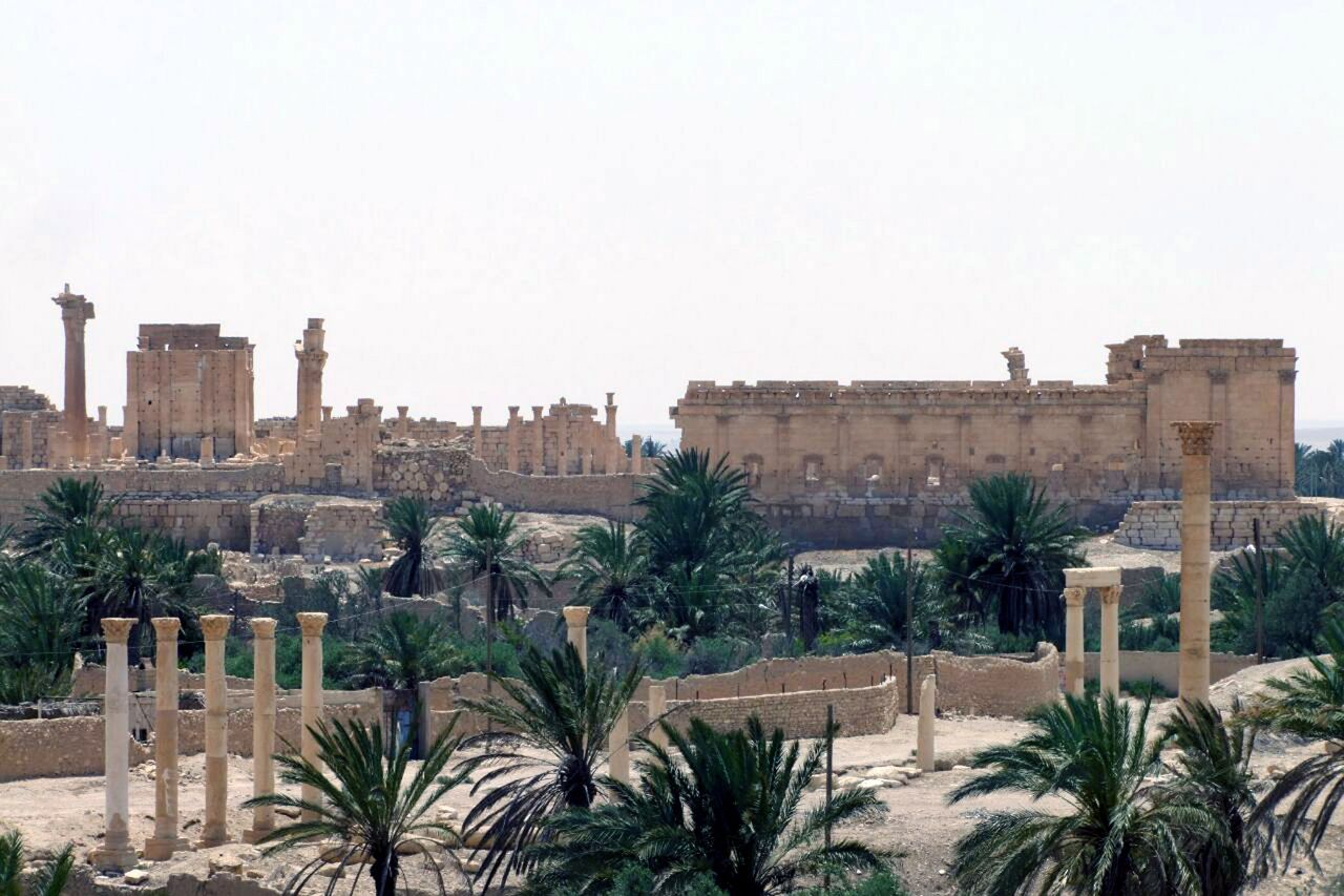 Palmyra