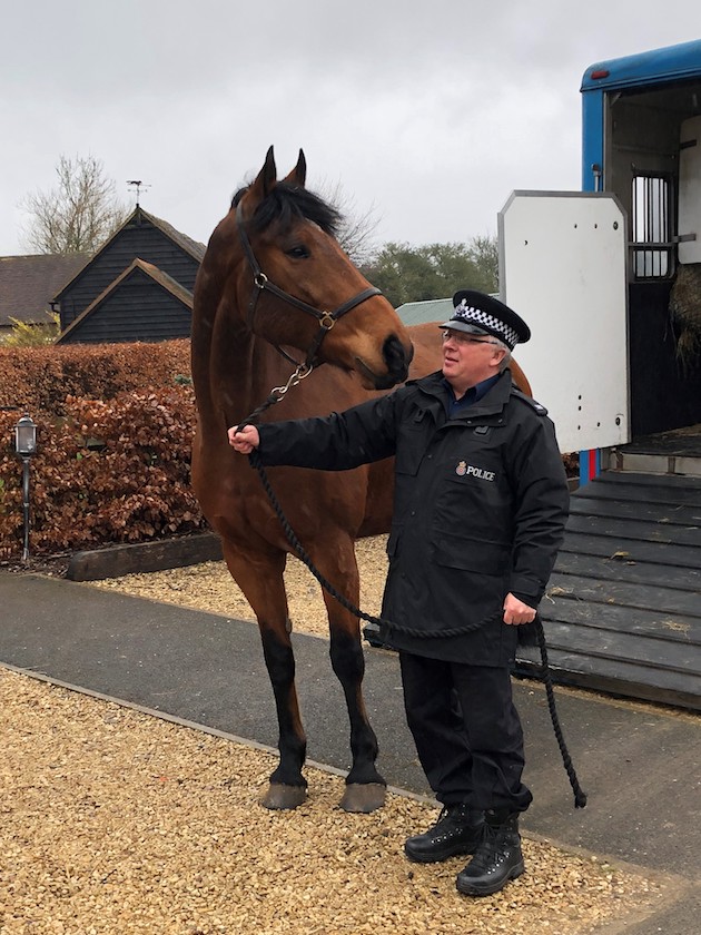Caton-Arrival-with-rider-Walesy5-copy.jpg