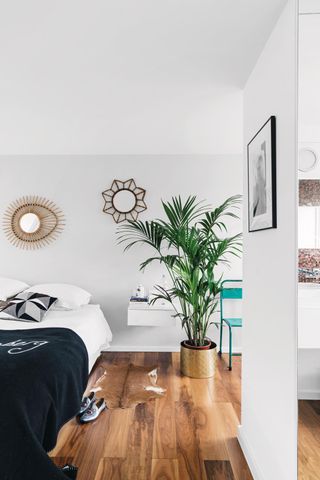 potted palm in a large bedroom