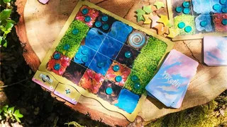 Mycelia's colourful cards and player boards laid out on a tree stump