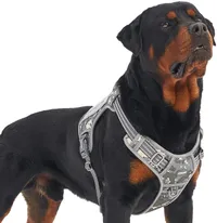 Auroth Tactical Dog Harness|RRP: $26.99 | Now: $21.59 | Save: $5.40 (20%) at Amazon