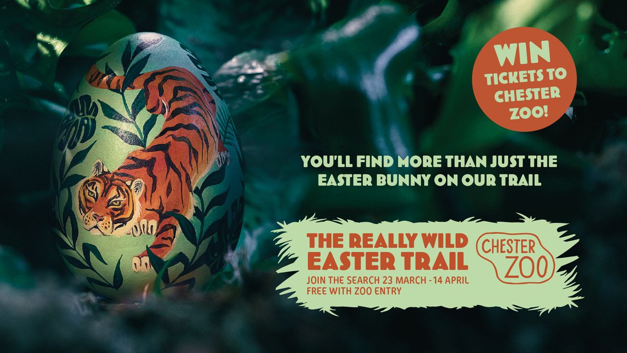 Chester Zoo Easter competition