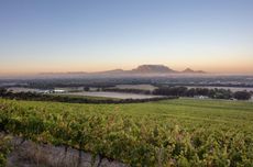 JG-Crop-De-Grendel-Estate_Mch-21_02.jpg