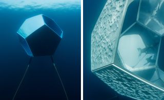 Doug Aitken’s Underwater Pavilions