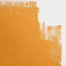 backdrop color of the year paint