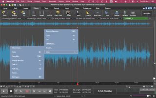 NCH Software WavePad audio editor in action