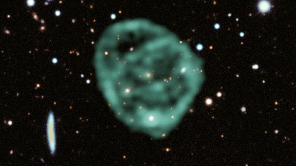 Data from SARAO&#039;s MeerKAT radio telescope data (green) showing the odd radio circles, is overlaid on optical and near infra-red data from the Dark Energy Survey.