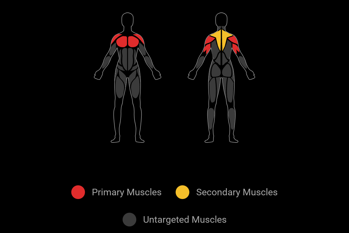 A visual of the targeted muscle groups in a workout.