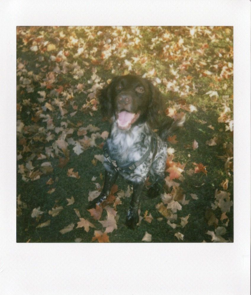 Image samples from the Fujifilm Instax Square 2
