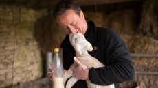 151204_david_cameron_-_1.jpg