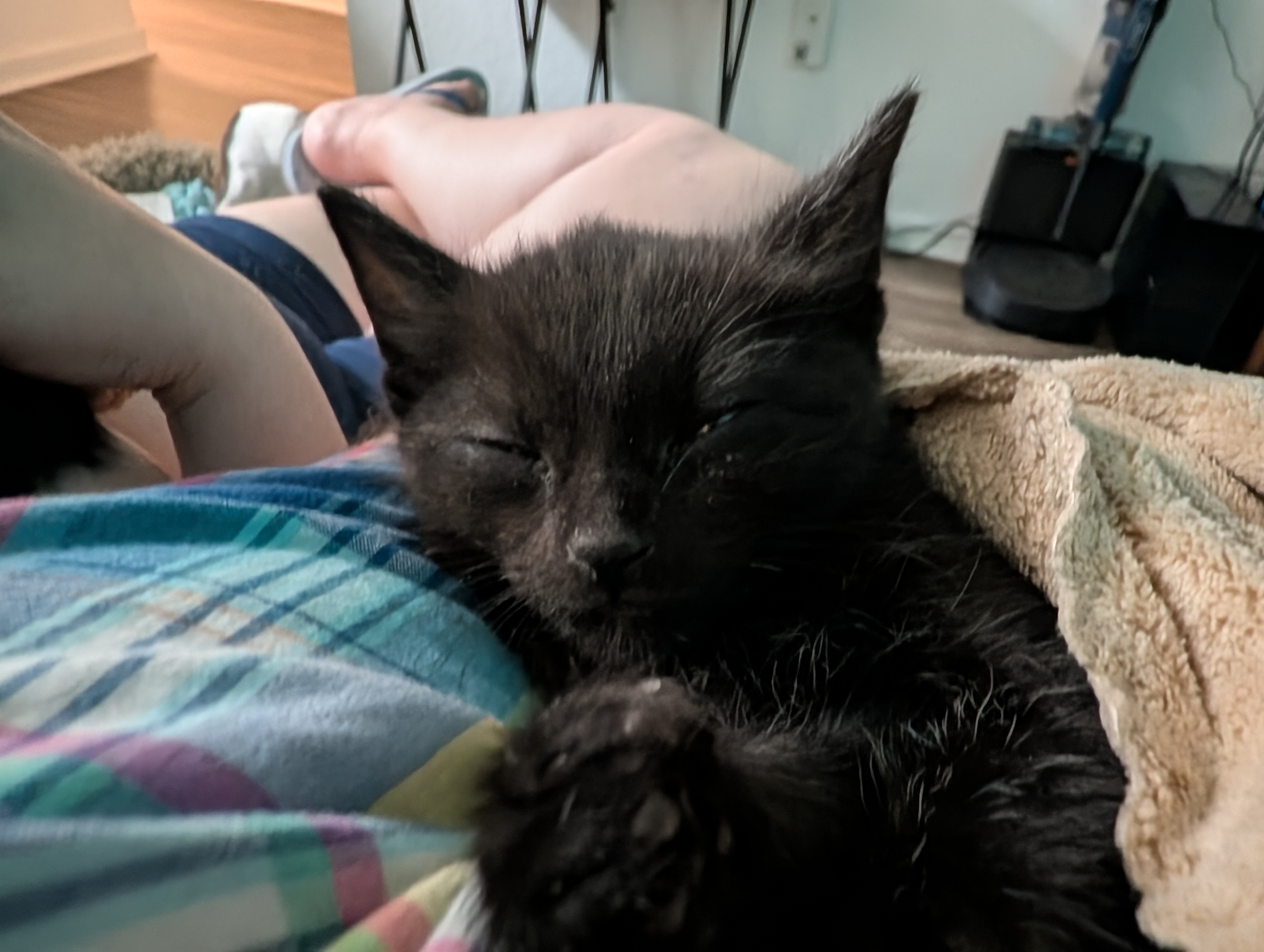 Camera image samples taken with the Google Pixel 10 Pro and Pixel 10 Pro XL