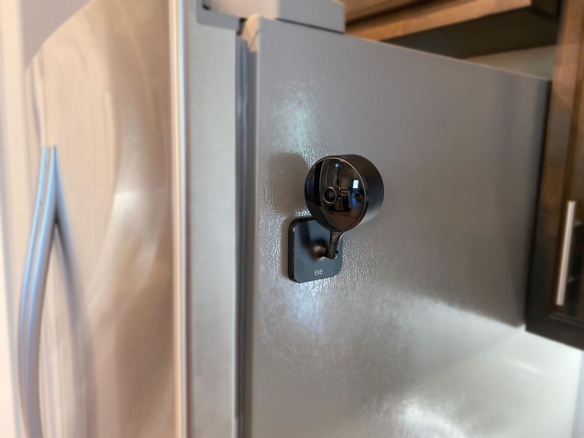 Eve Cam Review Magnet