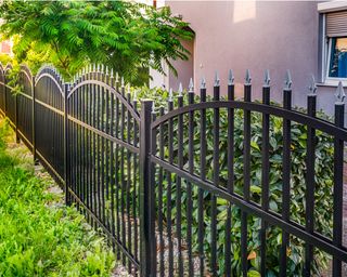 An iron railings fence in a residential backyard, with a pink house beyond