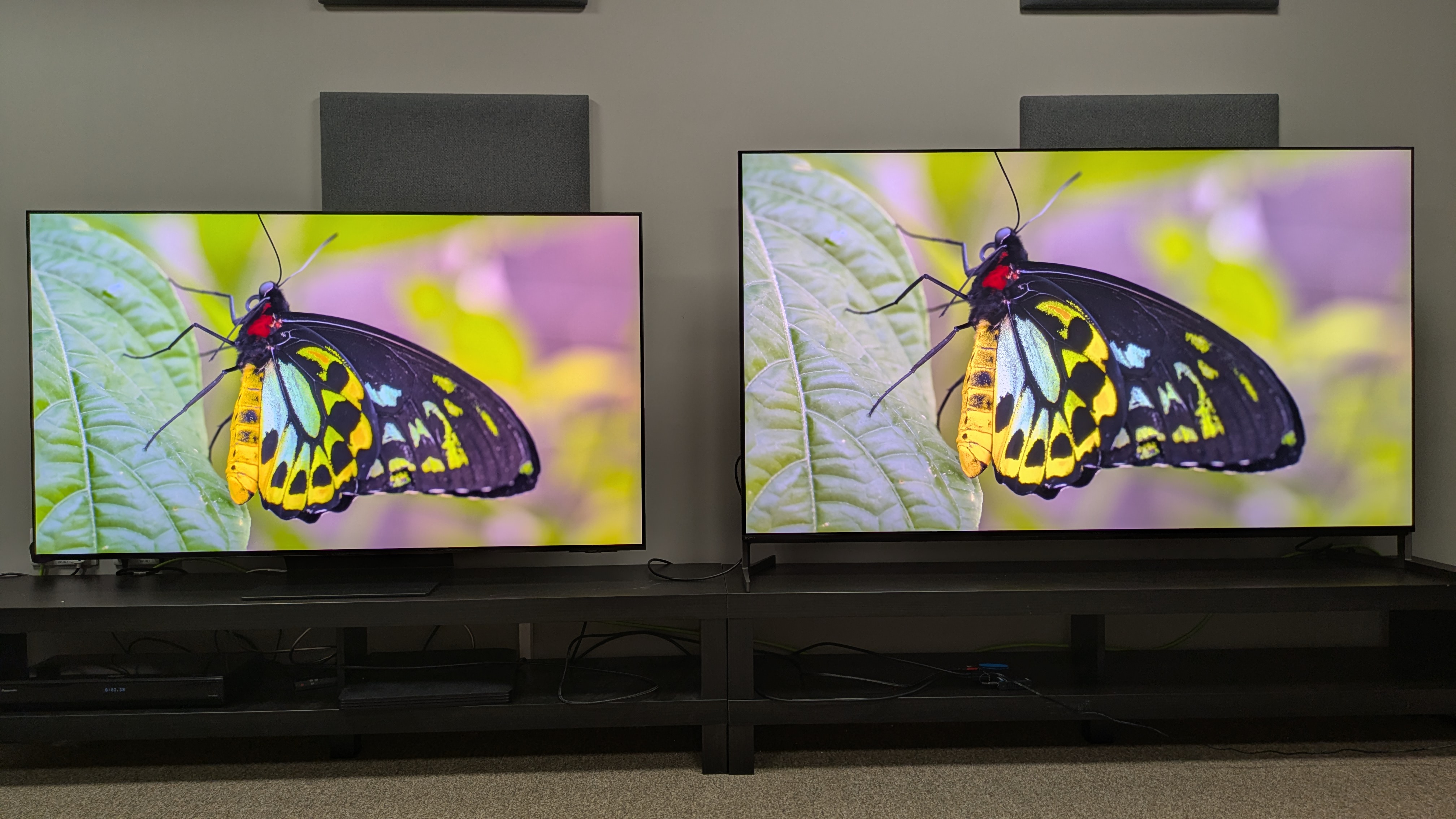 Samsung S95F (left) and Sony Bravia 8 II (right) with yellow butterfly on screen