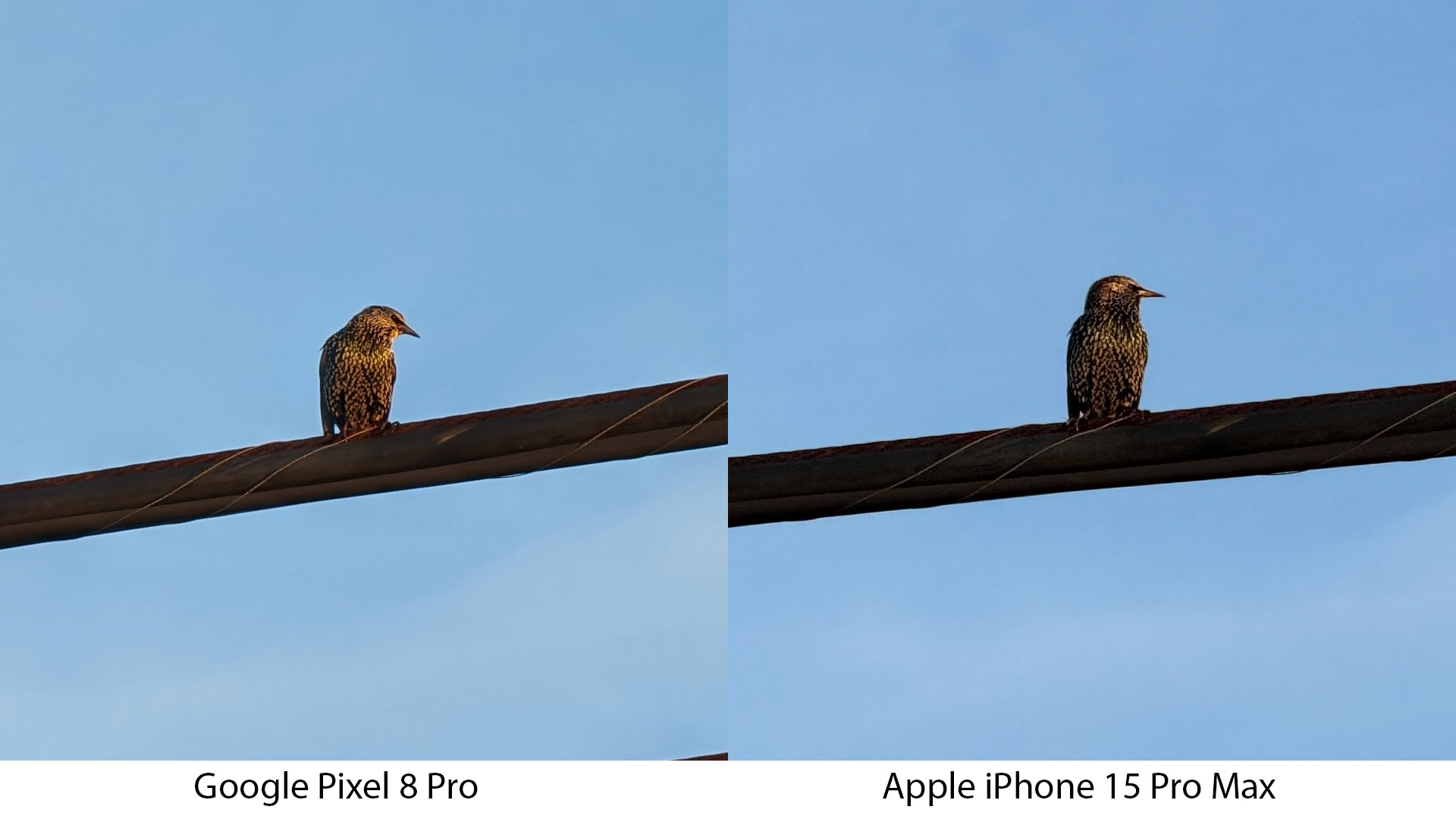 Pixel 8 Pro vs iPhone 15 Pro Max 5Xx zoom test - cropped images