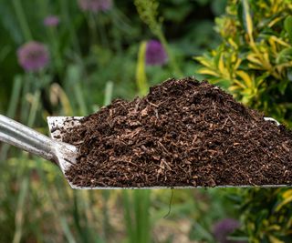 compost on spade