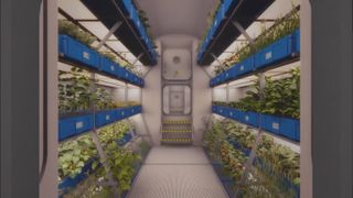 Growing Food on Mars