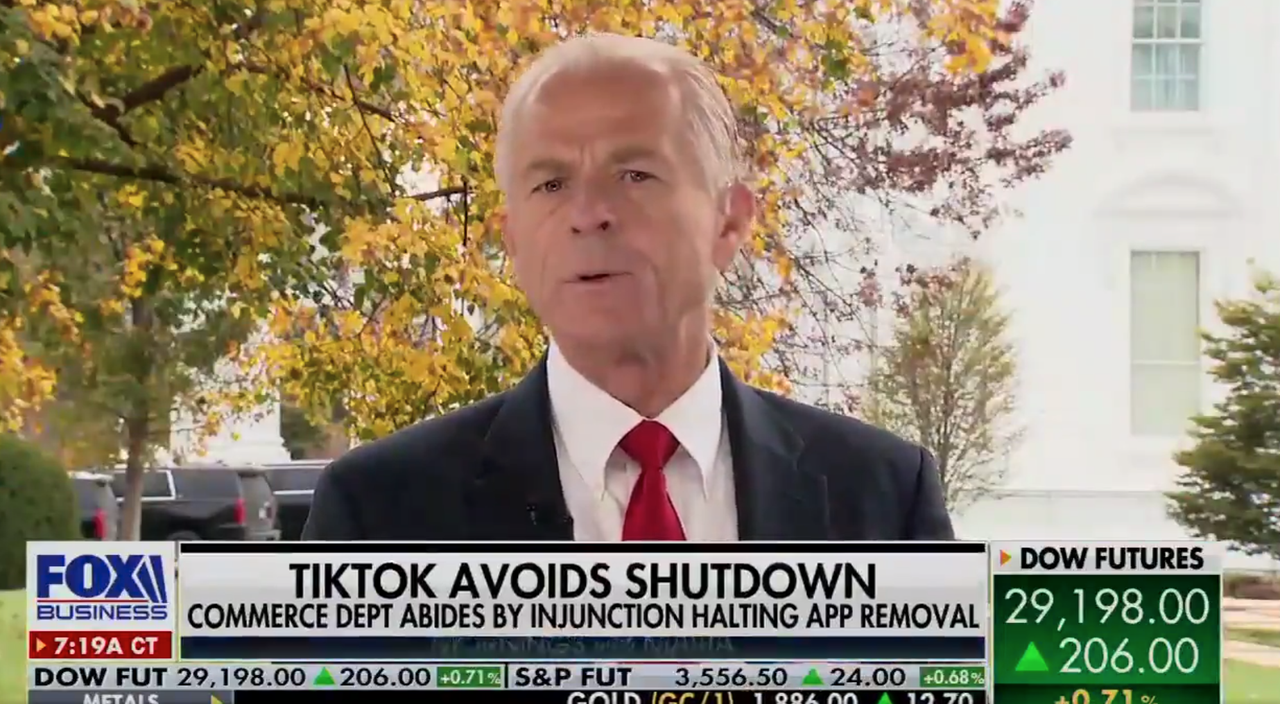 White House Trade Adviser Peter Navarro.