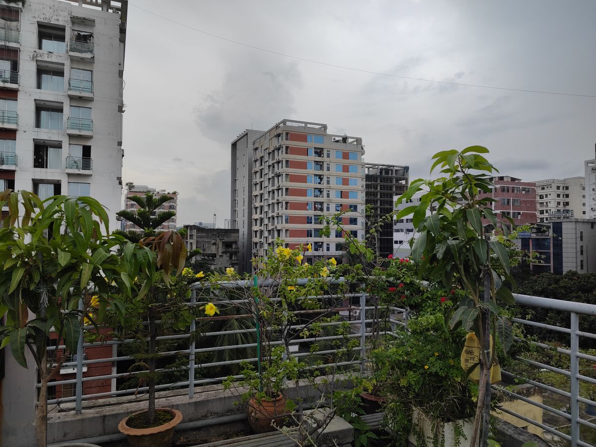 Black Shark 5 Pro zoom camera sample