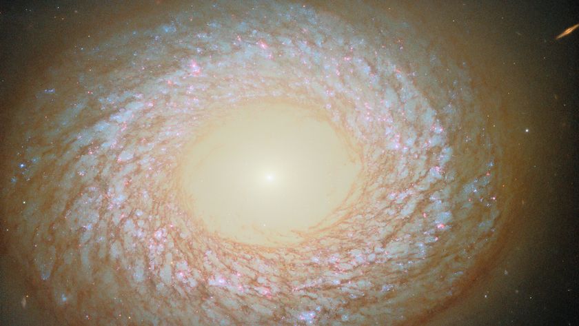 A ring of glowing gas and stars creates a brilliant galaxy seen in the darkness of space.