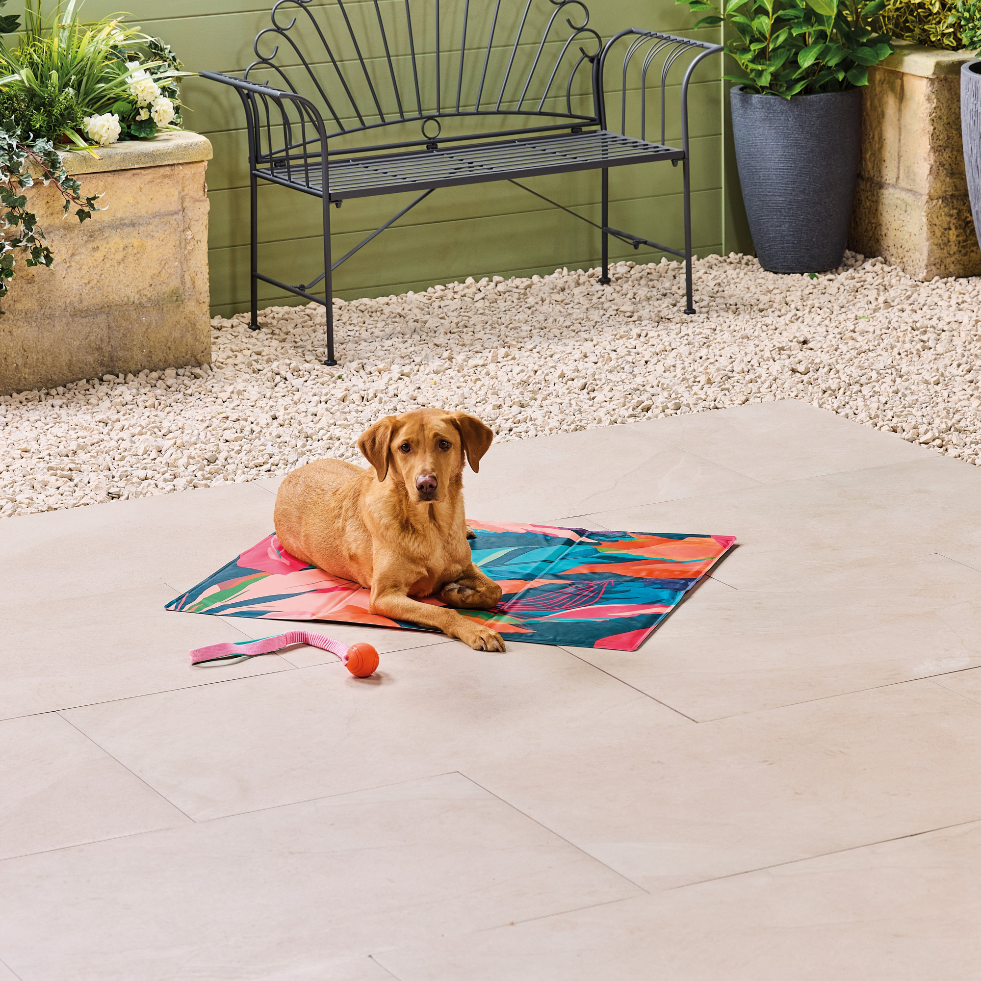 Dog lying on Aldi cooling mat