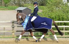 Petplan Equine Area Festival finals.