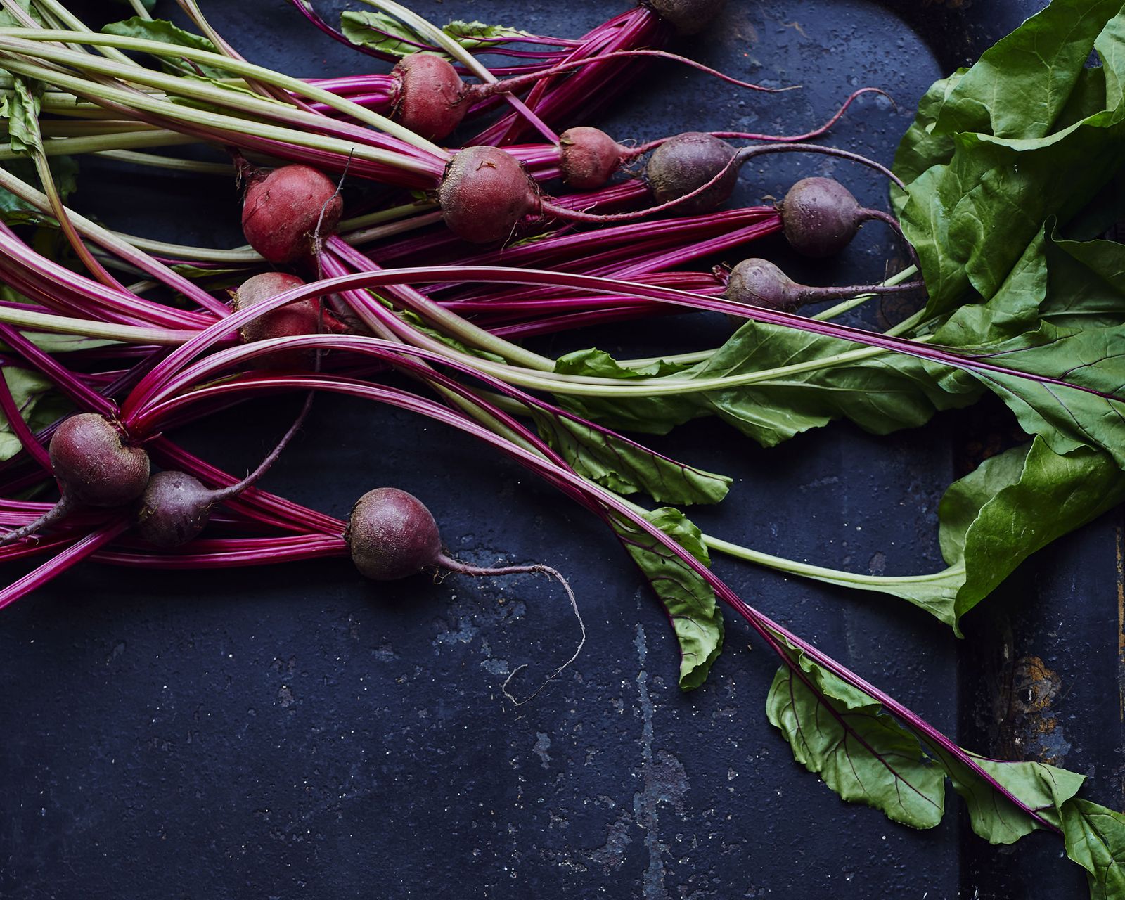 easiest-vegetables-to-grow-10-best-crops-for-beginners-homes-gardens