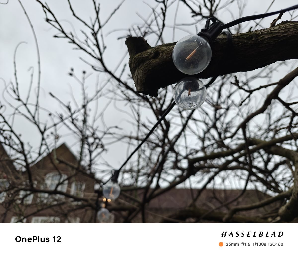 A photo captured on the OnePlus 12