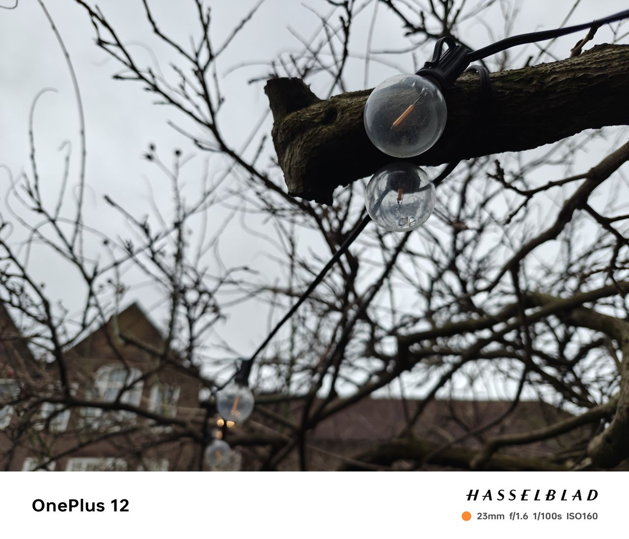 A photo captured on the OnePlus 12