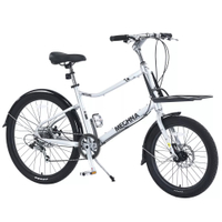 Vasip 26" Compact Cargo Bike