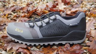 Fizik's Ergolace Flat shoe surrounded by autumn leaves