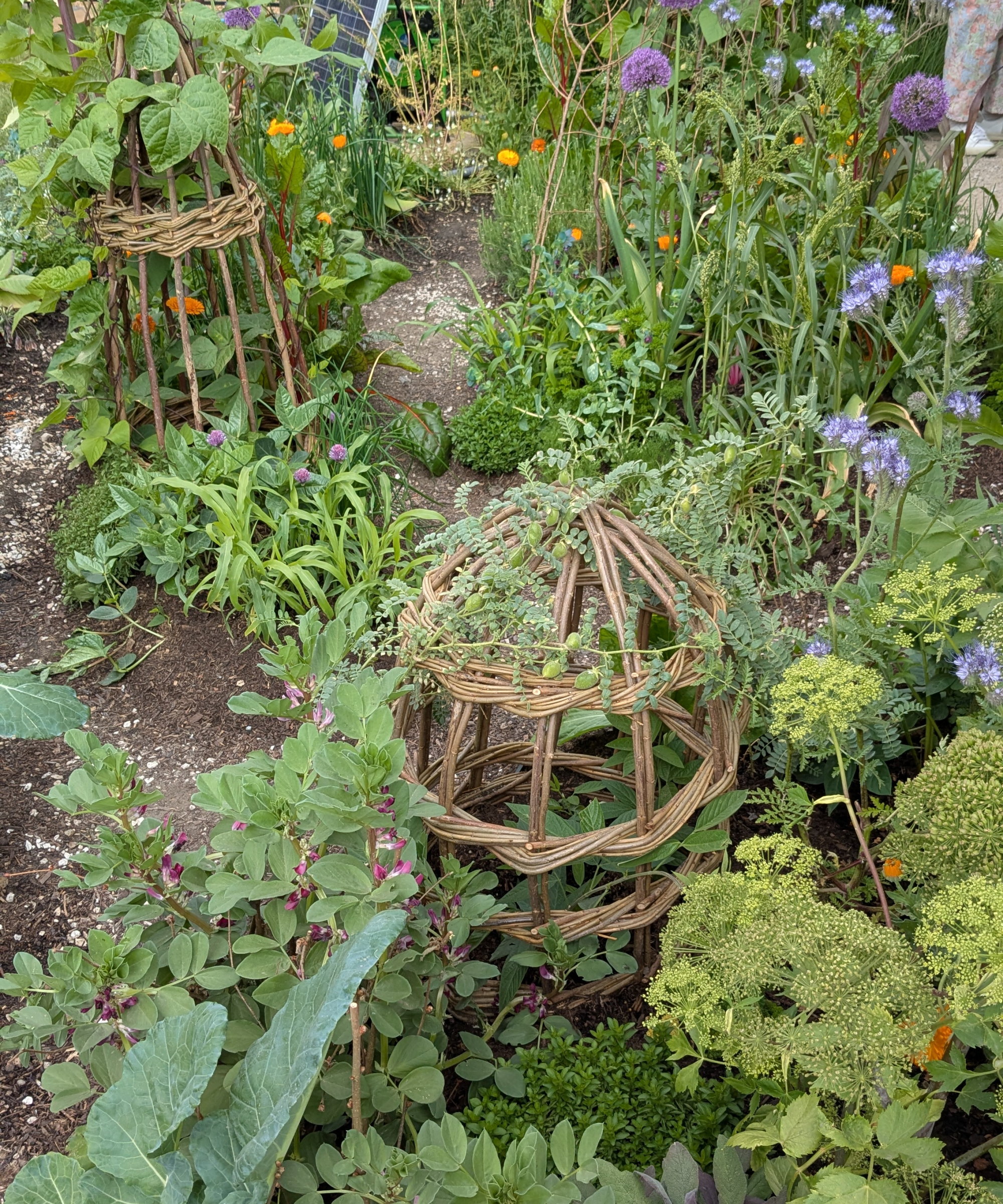 The Garden of the Future at the RHS Chelsea Flower Show